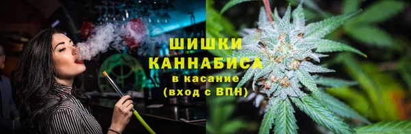 мет Пересвет