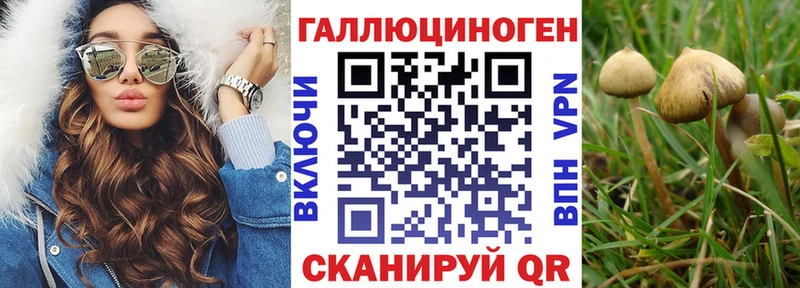 Псилоцибиновые грибы мухоморы  Энем 